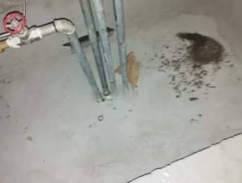 长岛卫生间测漏水价格明细